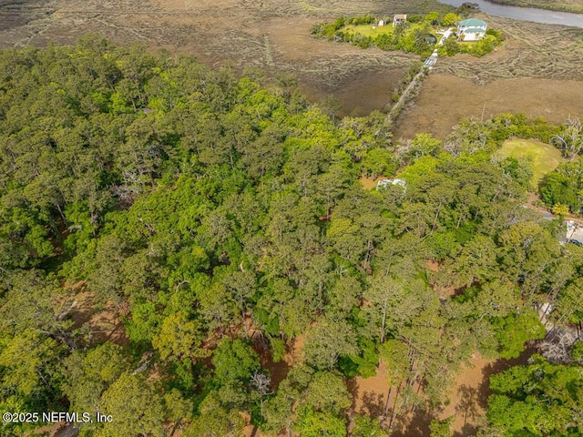 LOT8 W Black Island Rd SE, Darien, GA 31305