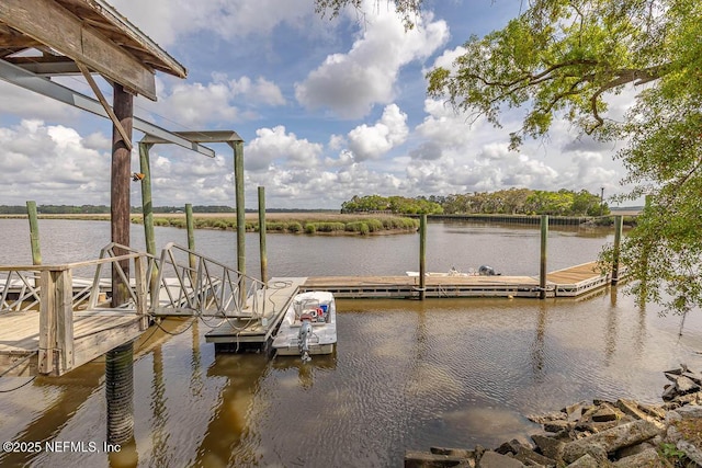LOT8 W Black Island Rd SE, Darien, GA 31305