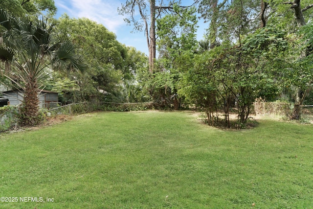 654 Woodbine St, Jacksonville, FL 32206 - view of yard