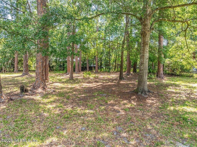 5207 Eulace Rd, Jacksonville, FL 32210 - photo 43
