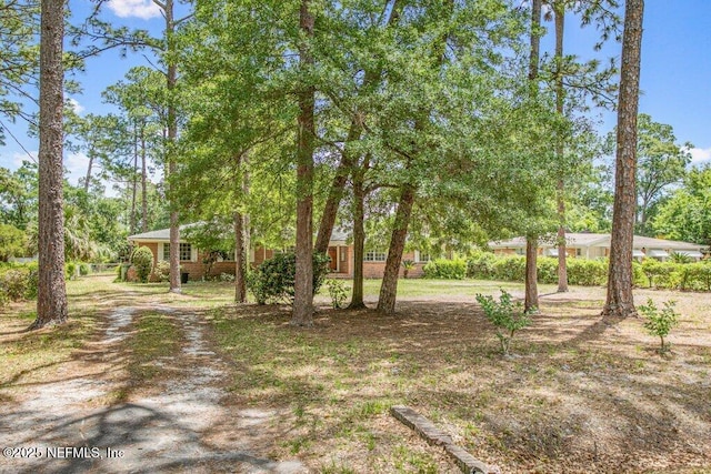 5207 Eulace Rd, Jacksonville, FL 32210 - photo 44