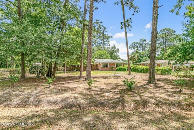 5207 Eulace Rd, Jacksonville, FL 32210 - photo 41