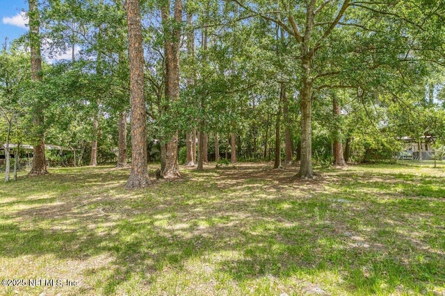 5207 Eulace Rd, Jacksonville, FL 32210 - photo 47
