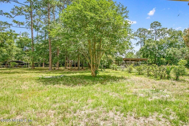 5207 Eulace Rd, Jacksonville, FL 32210 - photo 50