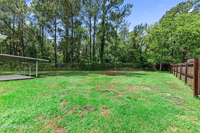 2830 Limestone Ct, Middleburg, FL 32068 - view of yard