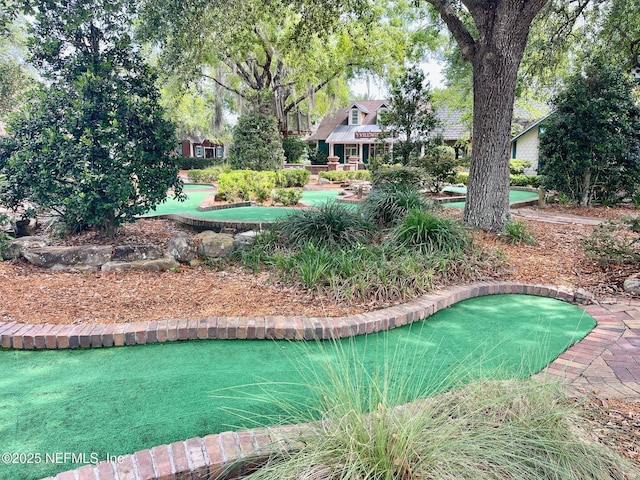 3931 Eagle Rock Rd, Middleburg, FL 32068 - view of home's community featuring an area to practice putting