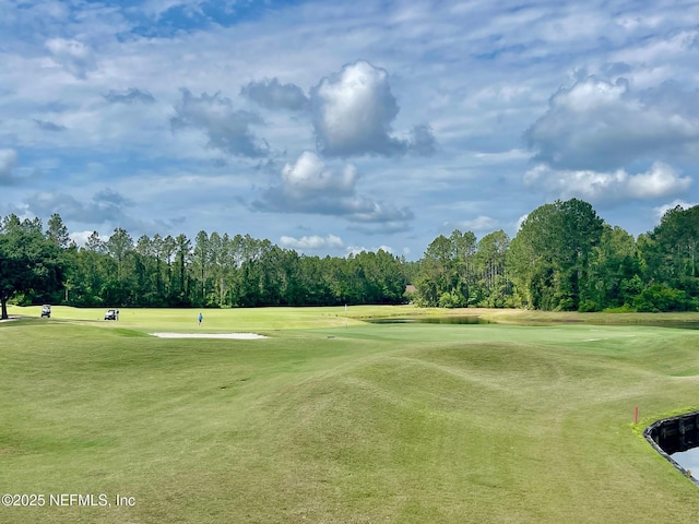 3931 Eagle Rock Rd, Middleburg, FL 32068 - view of community featuring view of golf course, view of wooded area, and a yard