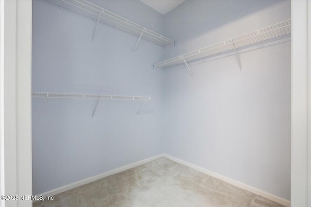 walk in closet with carpet