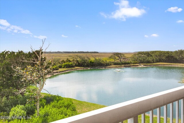 425 N Ocean Grande Dr Unit 205, Ponte Vedra Beach, FL 32082 - water view