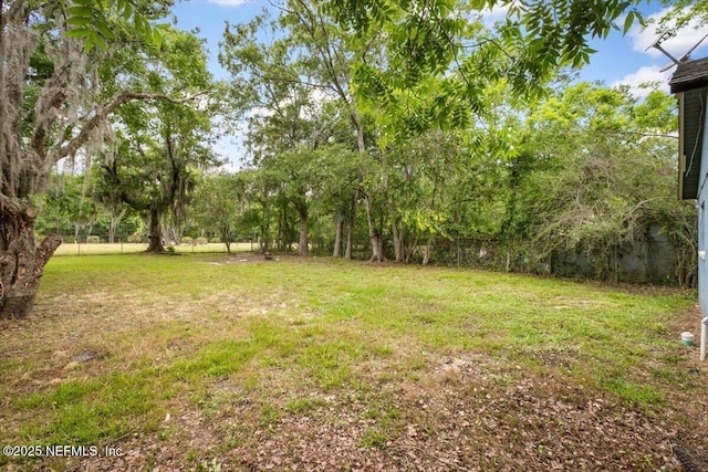 7972 Waxwing Ave, Jacksonville, FL 32219 - view of yard