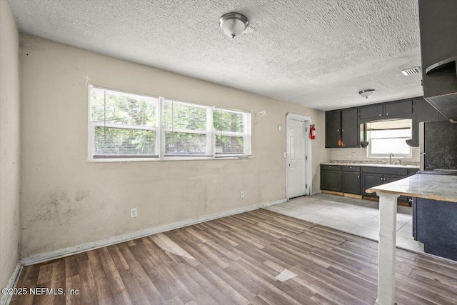 7972 Waxwing Ave, Jacksonville, FL 32219 - kitchen with light wood-style flooring, a sink, plenty of natural light, baseboards, and a textured ceiling