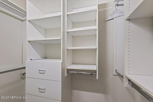 663 Reflection Cove Ct, Jacksonville, FL 32218 - view of spacious closet