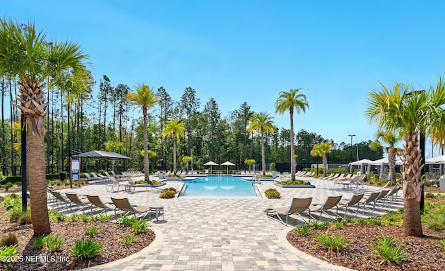 1459 Stillwater Blvd, Saint Johns, FL 32259 - community pool featuring a patio and view of wooded area