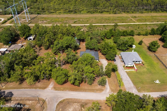2658 Apache Ct, Middleburg, FL 32068 - aerial view