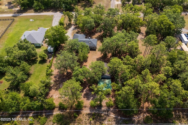 2658 Apache Ct, Middleburg, FL 32068 - bird's eye view