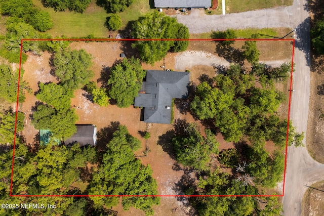 2658 Apache Ct, Middleburg, FL 32068 - aerial view of property's location with property boundaries highlighted