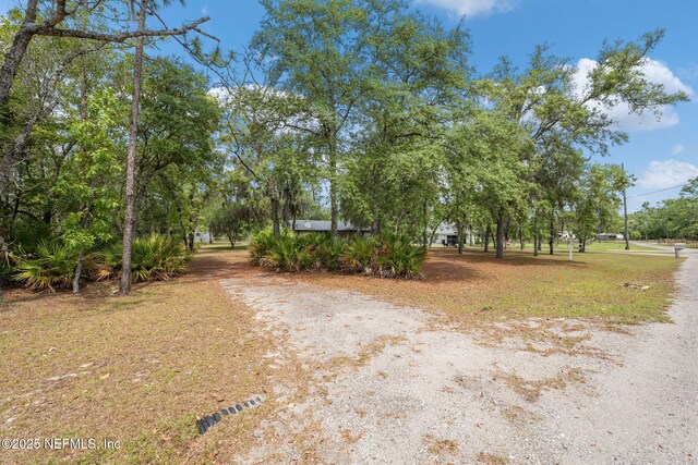 2658 Apache Ct, Middleburg, FL 32068 - view of yard