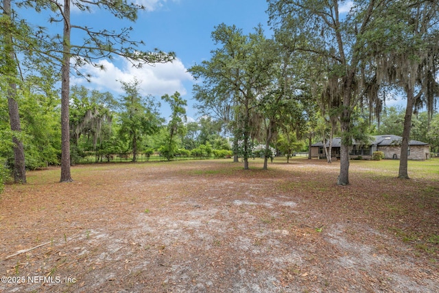 2658 Apache Ct, Middleburg, FL 32068 - view of yard