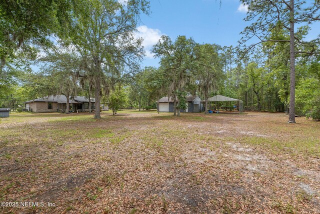 2658 Apache Ct, Middleburg, FL 32068 - view of yard featuring a carport