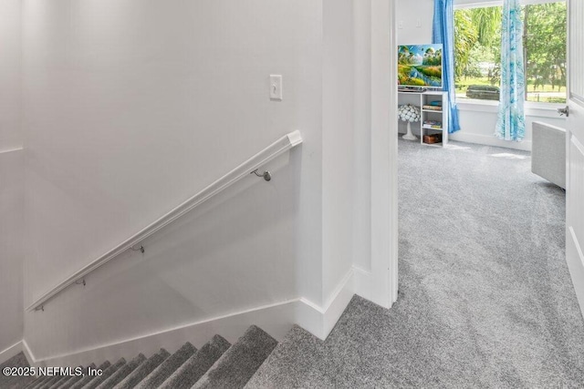 8211 Colee Cove Branch Rd Unit G, Saint Augustine, FL 32092 - staircase with carpet flooring and baseboards