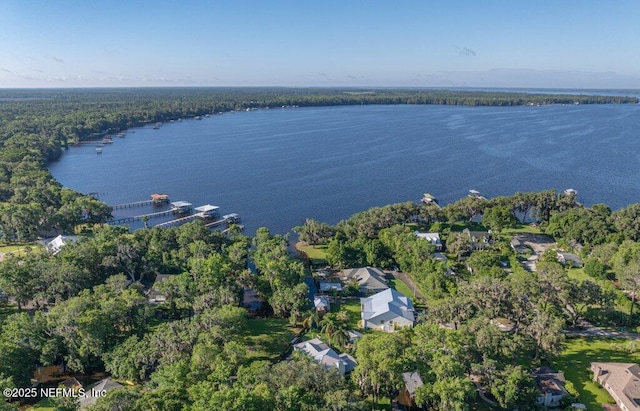 8211 Colee Cove Branch Rd Unit G, Saint Augustine, FL 32092 - aerial view of property and surrounding area featuring a large body of water and a forest