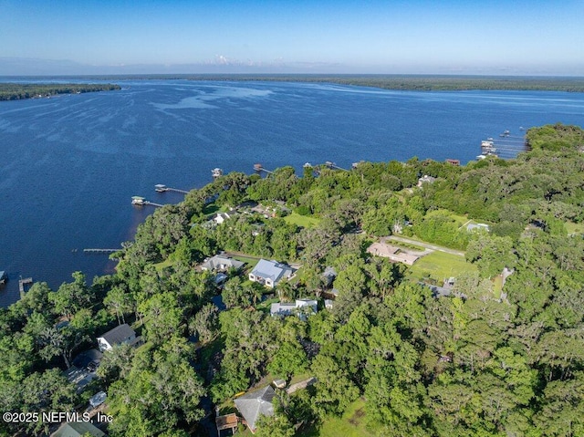 8211 Colee Cove Branch Rd Unit G, Saint Augustine, FL 32092 - aerial view of property and surrounding area featuring a nearby body of water and a forest