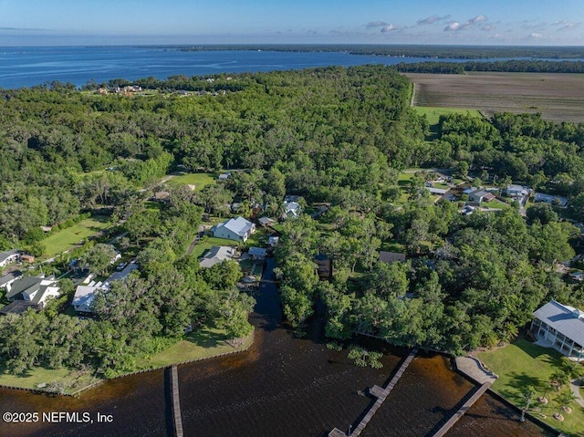 8211 Colee Cove Branch Rd Unit G, Saint Augustine, FL 32092 - aerial overview of property's location with a large body of water