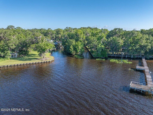8211 Colee Cove Branch Rd Unit G, Saint Augustine, FL 32092 - water view with a heavily wooded area