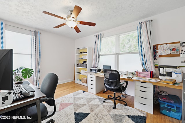 5327 Attleboro St, Jacksonville, FL 32205 - office featuring light wood-style flooring, ceiling fan, and a textured ceiling