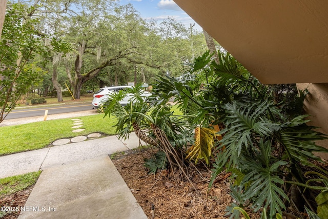 4390 Herschel St Unit 3, Jacksonville, FL 32210 - photo 28