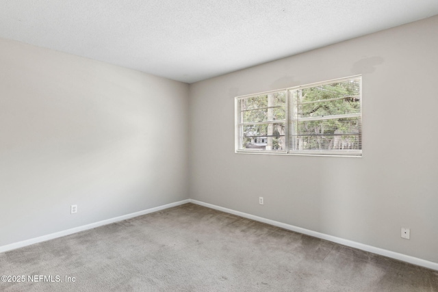 4390 Herschel St Unit 3, Jacksonville, FL 32210 - photo 22
