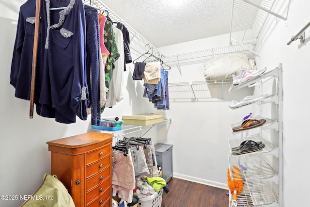 1101 Kettering Way, Orange Park, FL 32073 - walk in closet featuring wood finished floors