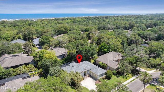 2738 Sea Grove Ln, Fernandina Beach, FL 32034 - aerial perspective of suburban area featuring a heavily wooded area and a nearby body of water
