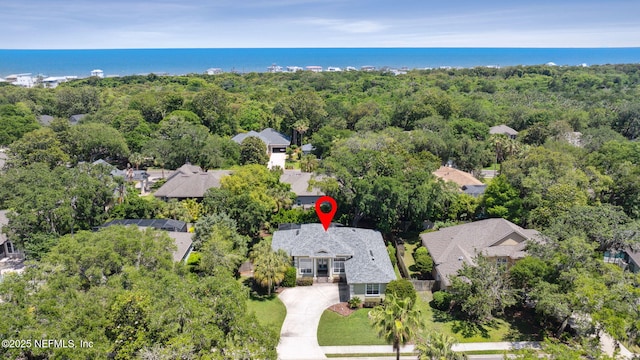 2738 Sea Grove Ln, Fernandina Beach, FL 32034 - drone / aerial view of a heavily wooded area