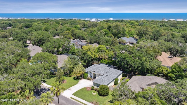 2738 Sea Grove Ln, Fernandina Beach, FL 32034 - aerial view of a forest