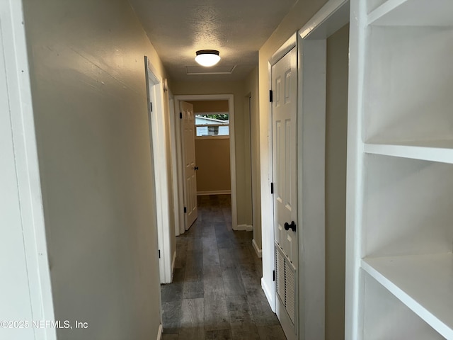 234 Canis St W, Orange Park, FL 32073 - corridor with a textured ceiling, dark wood-type flooring, and baseboards