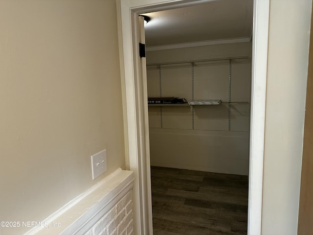234 Canis St W, Orange Park, FL 32073 - spacious closet featuring wood finished floors