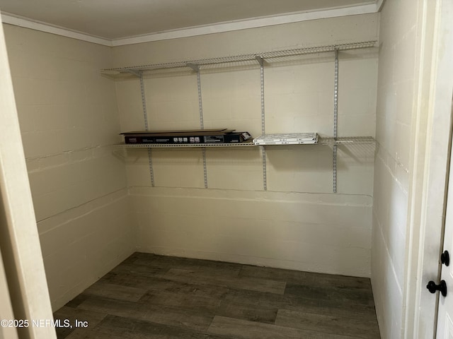 234 Canis St W, Orange Park, FL 32073 - spacious closet featuring dark wood-style flooring