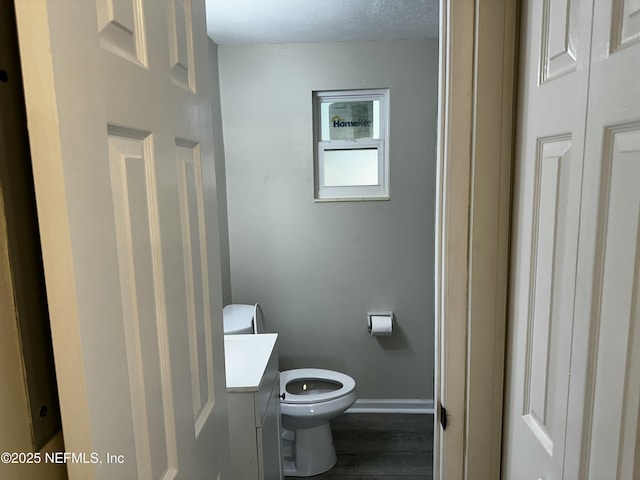 234 Canis St W, Orange Park, FL 32073 - bathroom with toilet, baseboards, vanity, wood finished floors, and a textured ceiling