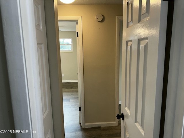 234 Canis St W, Orange Park, FL 32073 - hall featuring dark wood-style flooring and baseboards