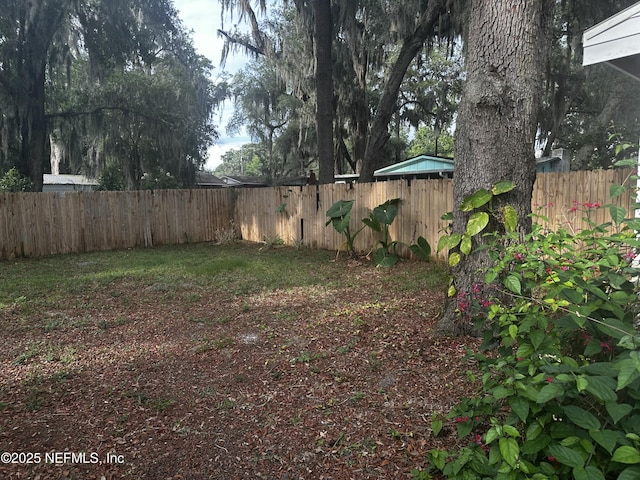 234 Canis St W, Orange Park, FL 32073 - view of fenced backyard