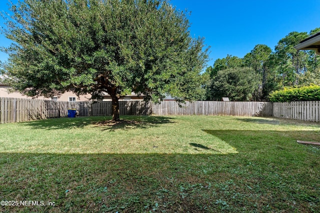129 Lake Run Blvd, Jacksonville, FL 32218 - view of yard
