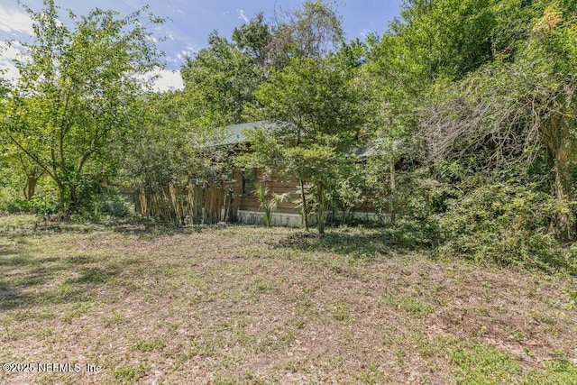 8563 Moncrief-Dinsmore Rd, Jacksonville, FL 32219 - view of yard