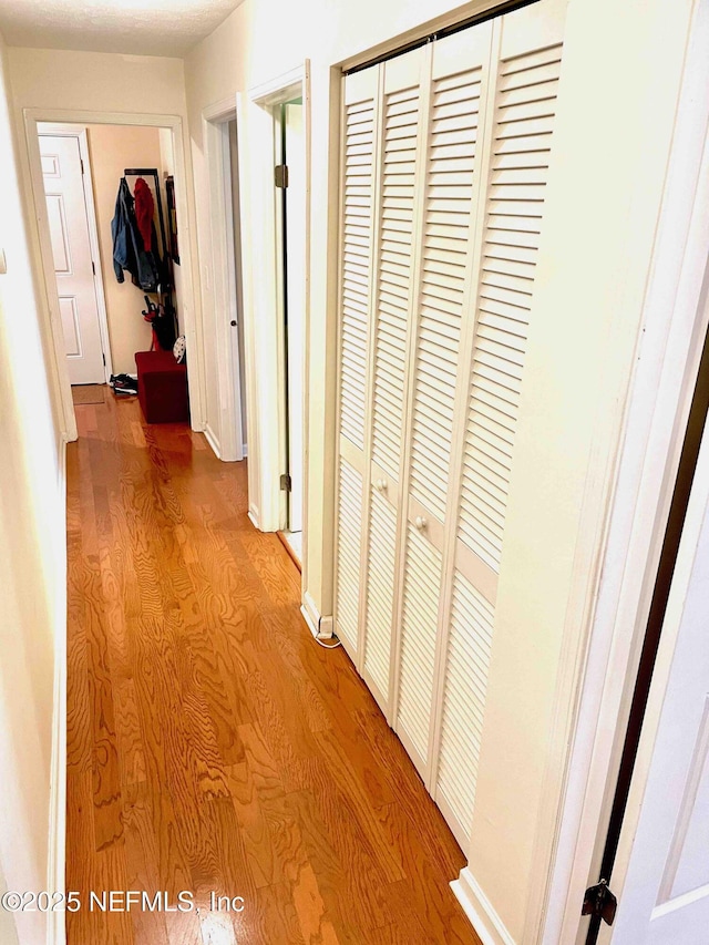 5201 Atlantic Blvd Unit 142, Jacksonville, FL 32207 - hall with light wood-style floors and baseboards