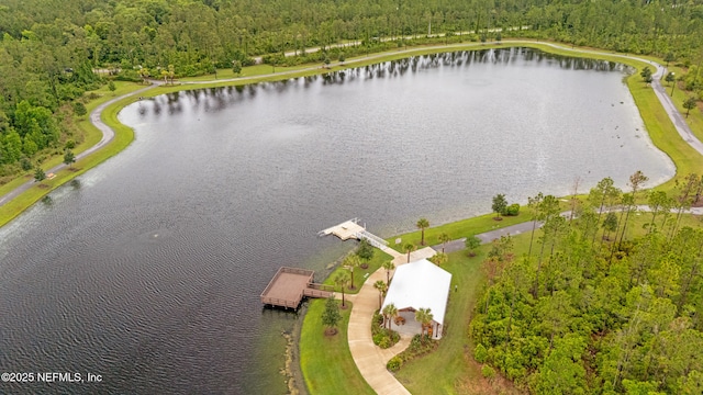 166 Spinner Dr, Ponte Vedra, FL 32081 - bird's eye view of a heavily wooded area and a nearby body of water