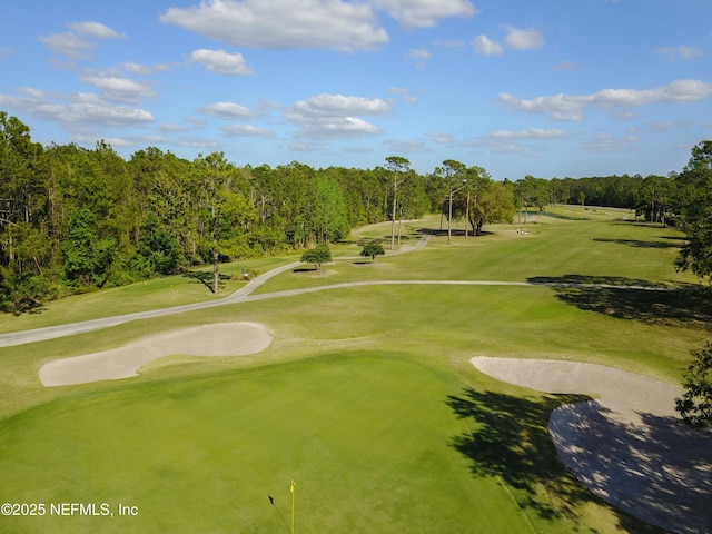 1821 W Windy Way, Saint Johns, FL 32259 - view of property's community with view of golf course and a lawn