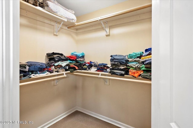 4310 Chokeberry Rd, Middleburg, FL 32068 - walk in closet with carpet flooring