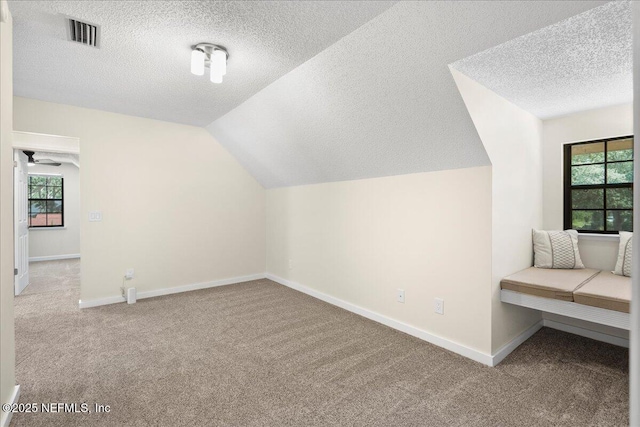 4310 Chokeberry Rd, Middleburg, FL 32068 - bonus room with carpet floors, a textured ceiling, baseboards, lofted ceiling, and a ceiling fan