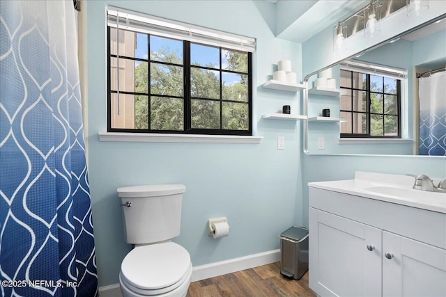 4310 Chokeberry Rd, Middleburg, FL 32068 - bathroom featuring wood finished floors, baseboards, vanity, toilet, and curtained shower