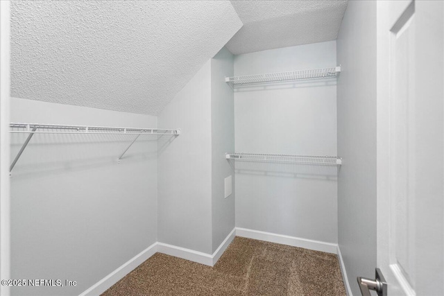 4310 Chokeberry Rd, Middleburg, FL 32068 - spacious closet featuring carpet floors and vaulted ceiling